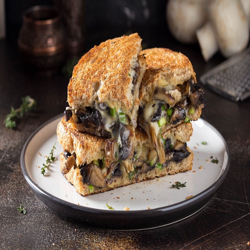 Hot sandwich with mushrooms, cheese and green onions, delicious lunch, autumn food. On dark background