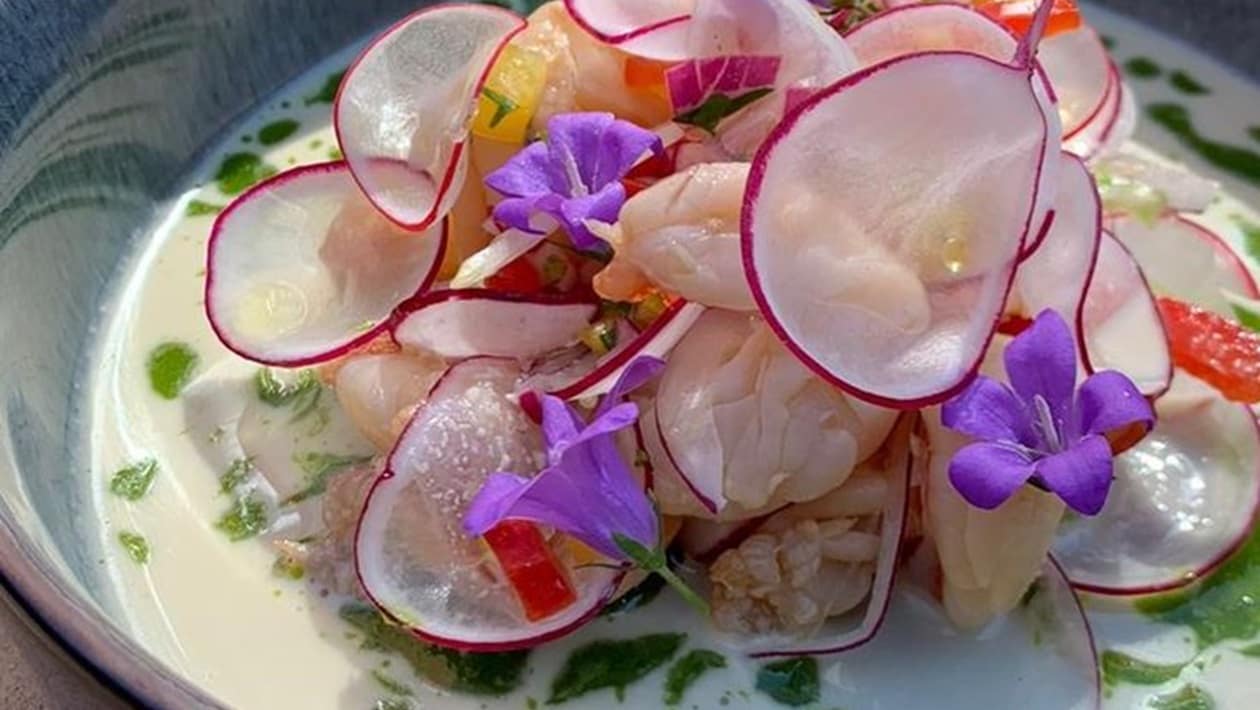 Ceviches Sin Fronteras: Delicias para Todos – - Receta