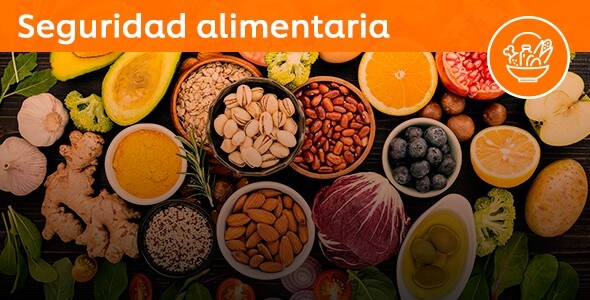 Seguridad alimentaria