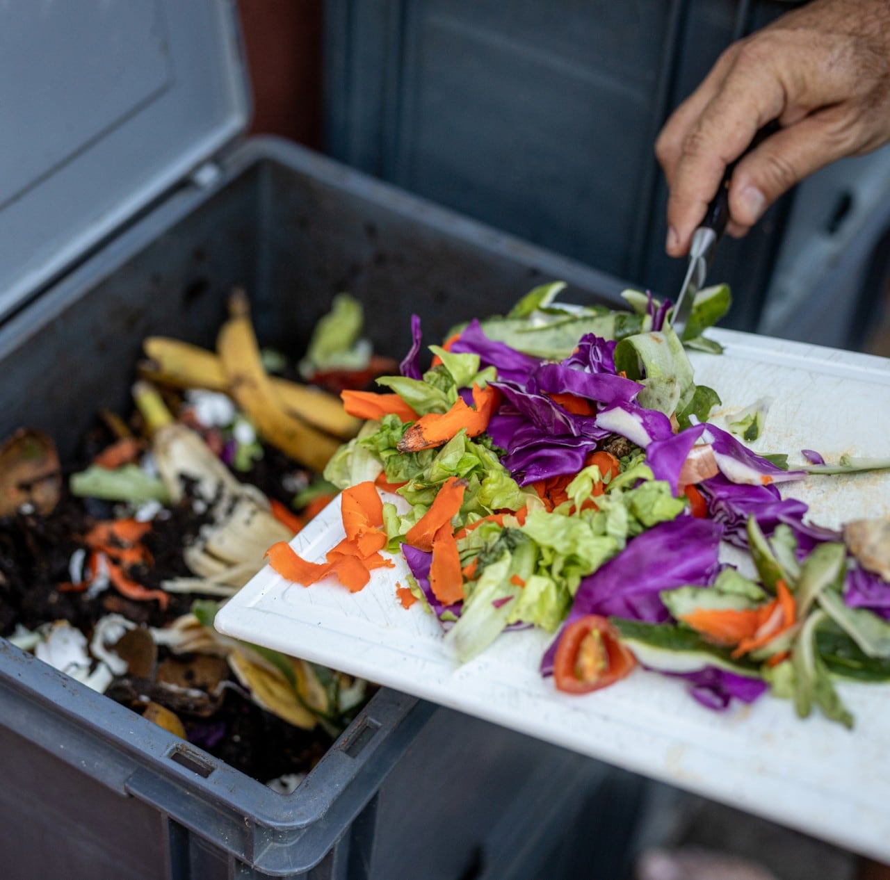 Manejo de residuos de cocina: hazlo con eficiencia en tu restaurante