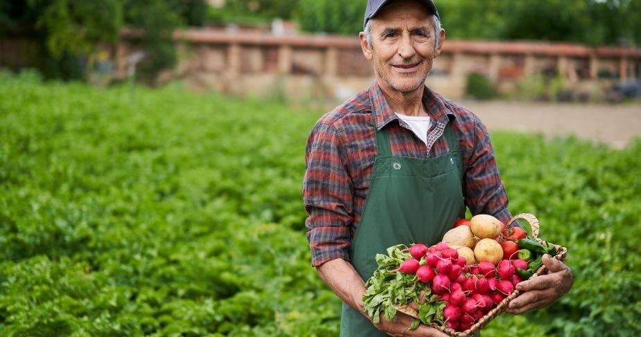 Aprende qué es ESG y no te pierdas ningún consejo sobre cómo aplicar prácticas sostenibles en tu negocio gastronómico