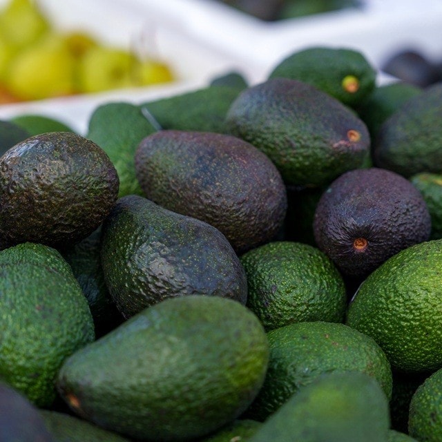 Aguacate: conoce todo sobre este ingrediente infaltable de la comida