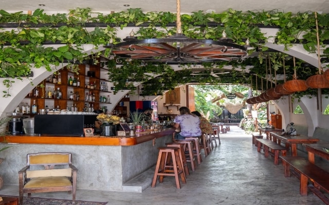 Restaurante con comensales sentados en banquetas en la barra. También hay mesas con bancos, y muchas plantas e iluminación natural.