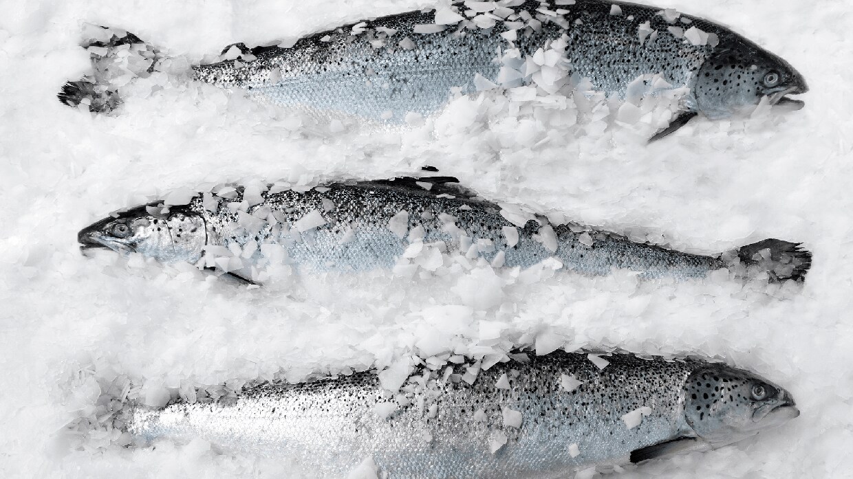 ultracongelacion ufs